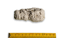 F 03152
<br/>
<br/>
<em></em>